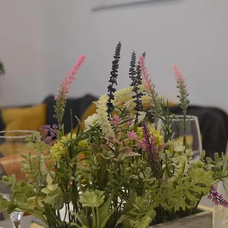 Spacious Center Family 2 Bedrooms